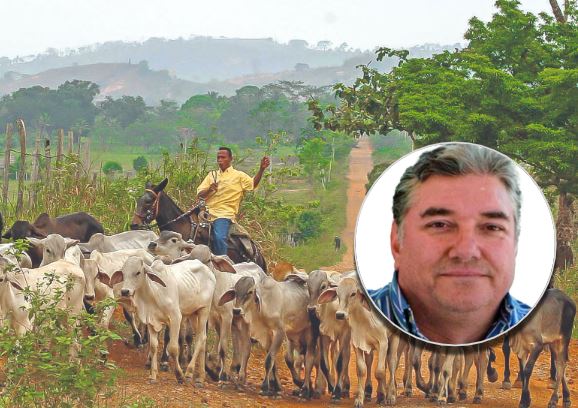 Rodrigo A mejia Arango